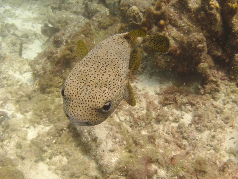 Curacao 04-12 187.JPG